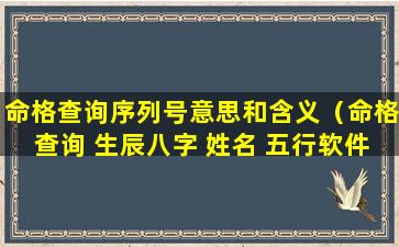 命格查询序列号意思和含义（命格查询 生辰八字 姓名 五行软件）